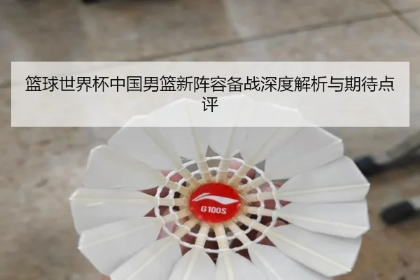 篮球世界杯中国男篮新阵容备战深度解析与期待点评